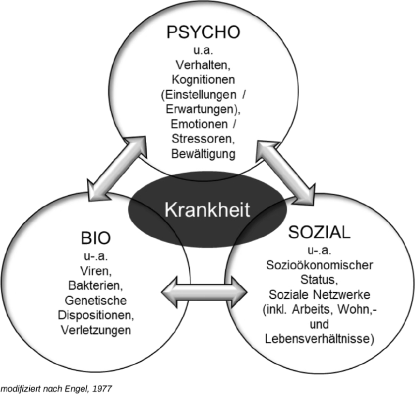 Biopsychosoziales Modell